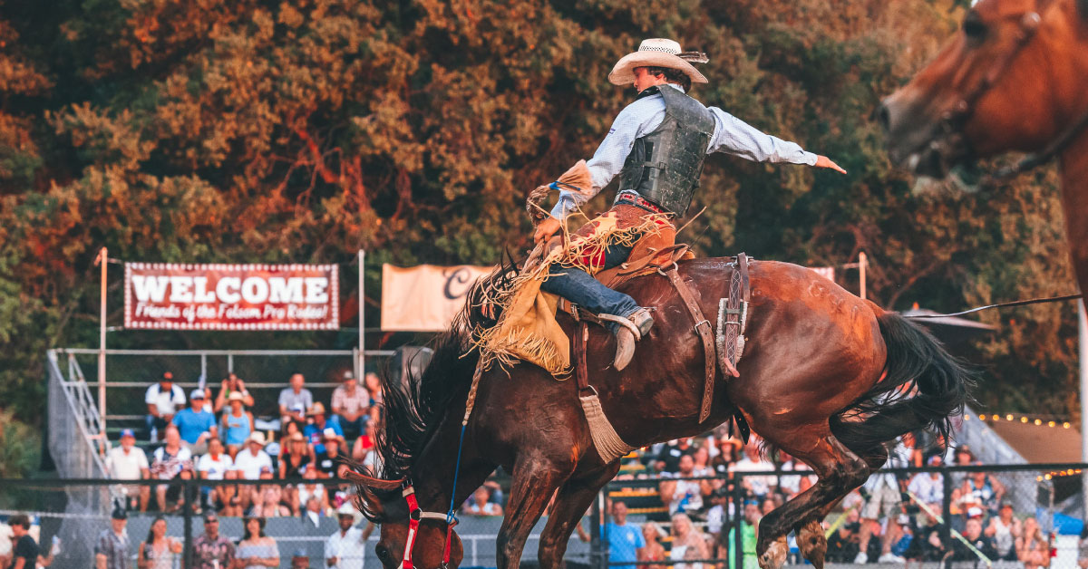 Man bronco riding at the Folsom Pro Rodeo