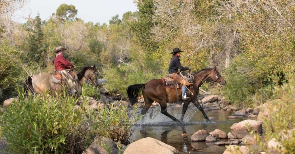 two friends trail riding on horseback through a creek