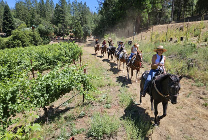 Group of people trail riding on horseback through Gold Country Vineyard