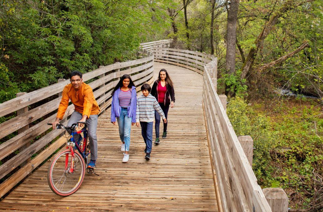 Family enjoying a walk and bike ride on a scenic wooden trail surrounded by lush greenery.