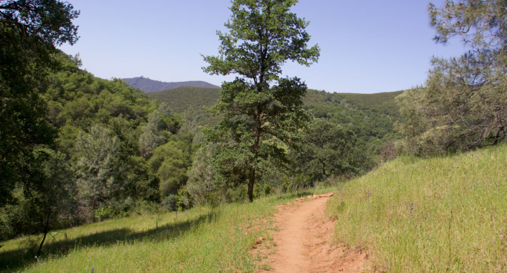 scenic view pf salmon falls ranch