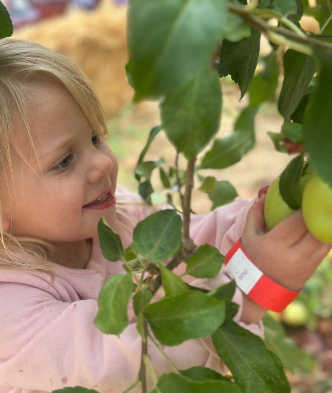 little girl picking green apple