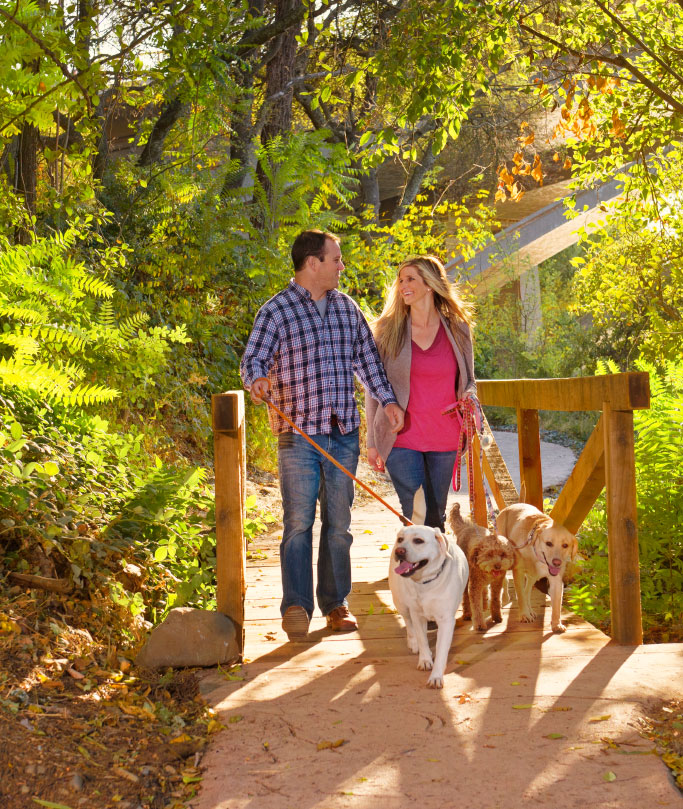 couple walking their dogs on a trail