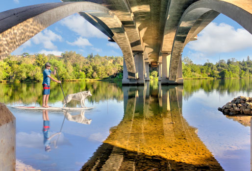 Paddle Boarder with his dog on the board on lake natoma