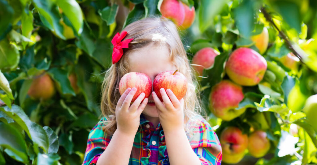 girl covering her eyes with apples