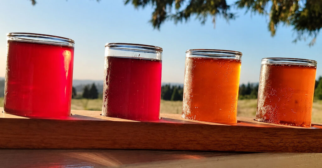 flight of hard cider